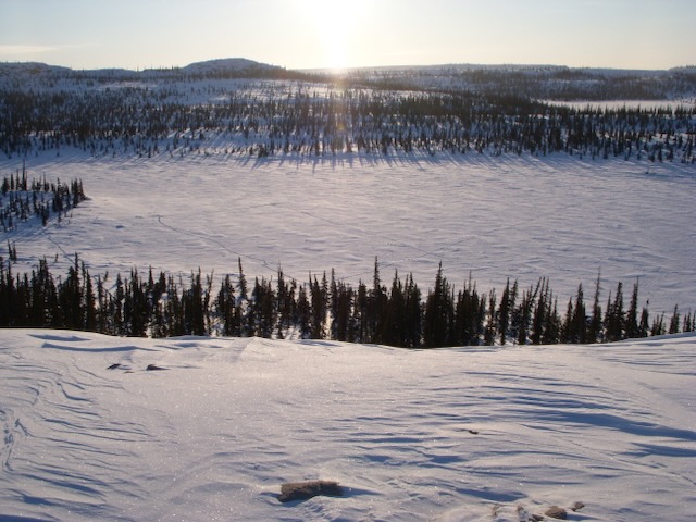 Wide Angle View Grid